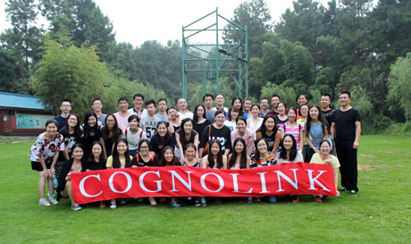 Cognolink Limited