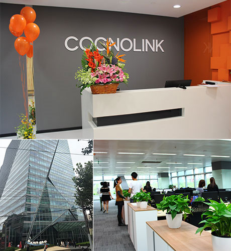 Cognolink Limited