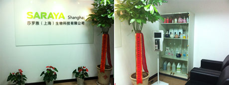 中国 上海 営業副科長の求人 サラヤ 上海 生物科技有限公司 上海市の求人を探すなら カモメ中国転職